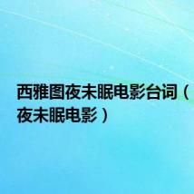 西雅图夜未眠电影台词（西雅图夜未眠电影）
