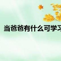 当爸爸有什么可学习的