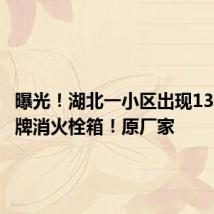 曝光！湖北一小区出现1300台冒牌消火栓箱！原厂家