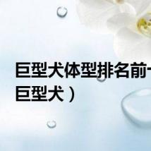 巨型犬体型排名前十名（巨型犬）