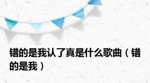 错的是我认了真是什么歌曲（错的是我）
