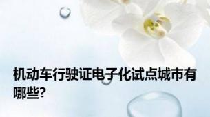 机动车行驶证电子化试点城市有哪些?