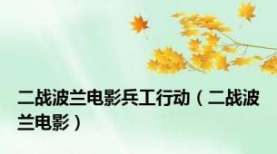 二战波兰电影兵工行动（二战波兰电影）