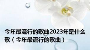 今年最流行的歌曲2023年是什么歌（今年最流行的歌曲）