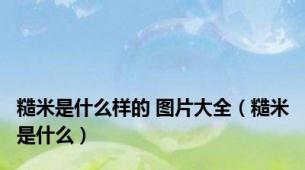 糙米是什么样的 图片大全（糙米是什么）
