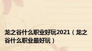 龙之谷什么职业好玩2021（龙之谷什么职业最好玩）