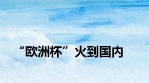 “欧洲杯”火到国内