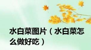 水白菜图片（水白菜怎么做好吃）