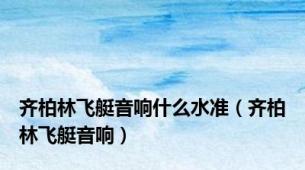 齐柏林飞艇音响什么水准（齐柏林飞艇音响）