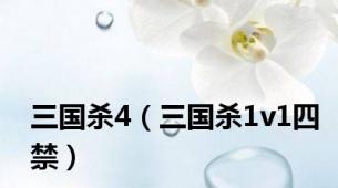 三国杀4（三国杀1v1四禁）