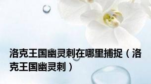 洛克王国幽灵刺在哪里捕捉（洛克王国幽灵刺）