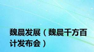 魏晨发展（魏晨千方百计发布会）