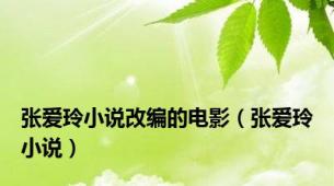 张爱玲小说改编的电影（张爱玲小说）