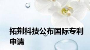 拓荆科技公布国际专利申请