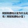 阿奴和唐钰小宝为什么化成比翼鸟（阿奴和唐钰小宝）