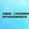 东湖高新：公司拟新增数字科技业务作为未来战略发展方向