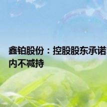 鑫铂股份:控股股东承诺12个月内不减持