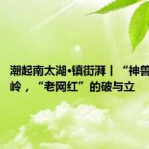 潮起南太湖·镇街湃丨“神兽村”董岭，“老网红”的破与立