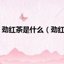 劲红茶是什么（劲红茶）