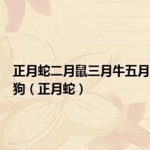 正月蛇二月鼠三月牛五月兔六月狗（正月蛇）