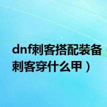 dnf刺客搭配装备(dnf刺客穿什么甲)