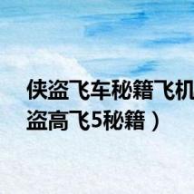 侠盗飞车秘籍飞机(侠盗高飞5秘籍)