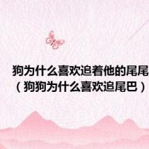 狗为什么喜欢追着他的尾尾巴跑呢（狗狗为什么喜欢追尾巴）