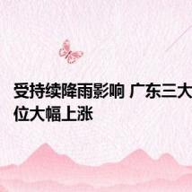 受持续降雨影响 广东三大江河水位大幅上涨