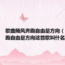 歌曲随风奔跑自由是方向(随风奔跑自由是方向这首歌叫什名字)
