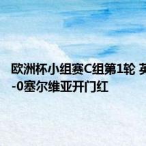 欧洲杯小组赛C组第1轮 英格兰1-0塞尔维亚开门红