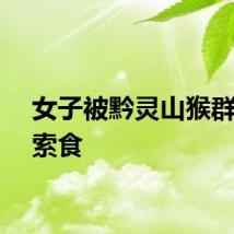 女子被黔灵山猴群包围索食