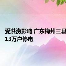 受洪涝影响 广东梅州三县一区超13万户停电