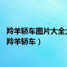 羚羊轿车图片大全大图（羚羊轿车）