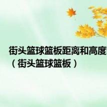 街头篮球篮板距离和高度哪个好（街头篮球篮板）