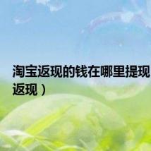 淘宝返现的钱在哪里提现（淘宝返现）