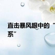 直击暴风眼中的“爱康系”