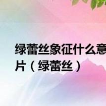 绿蕾丝象征什么意思图片（绿蕾丝）