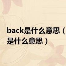 back是什么意思（bark是什么意思）