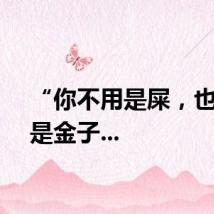 “你不用是屎，也不用是金子...