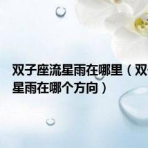 双子座流星雨在哪里(双子座流星雨在哪个方向)