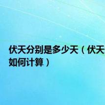 伏天分别是多少天（伏天多少天如何计算）