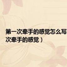 第一次牵手的感觉怎么写（第一次牵手的感觉）