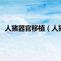 人猪器官移植（人猪）
