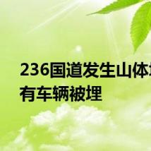 236国道发生山体塌方 有车辆被埋