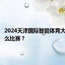 2024天津国际智能体育大会有什么比赛？