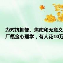 为对抗抑郁、焦虑和无意义感,大厂氪金心理学,有人花10万元