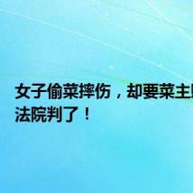 女子偷菜摔伤,却要菜主赔8万!法院判了!