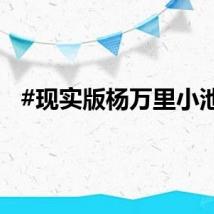 #现实版杨万里小池#