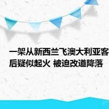 一架从新西兰飞澳大利亚客机起飞后疑似起火 被迫改道降落