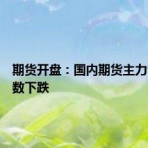 期货开盘:国内期货主力合约多数下跌